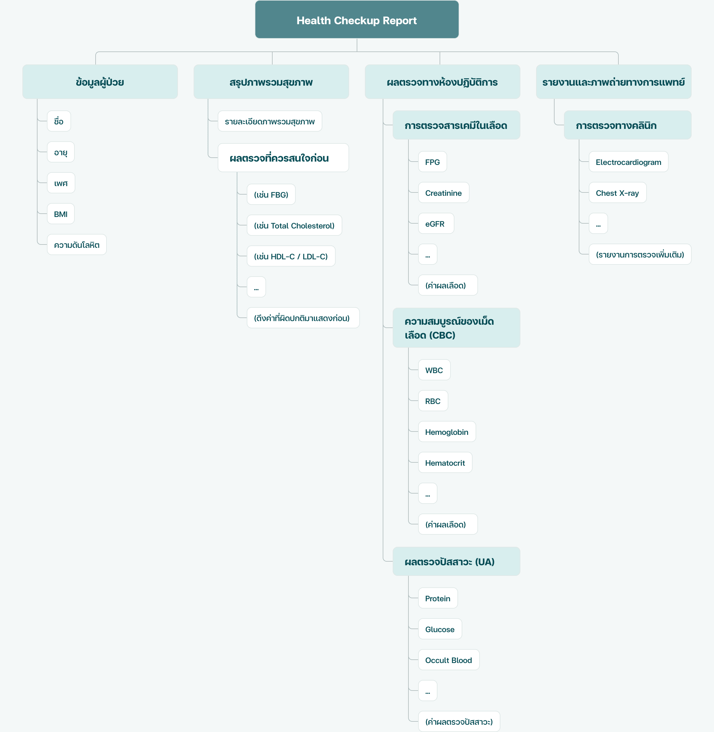 Information architecture diagram: Health Checkup Report branching into Patient Information, Health Summary, Laboratory Results, and Physician Reports & Imaging